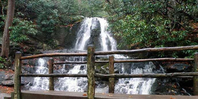 Laurel Falls Laurel Falls