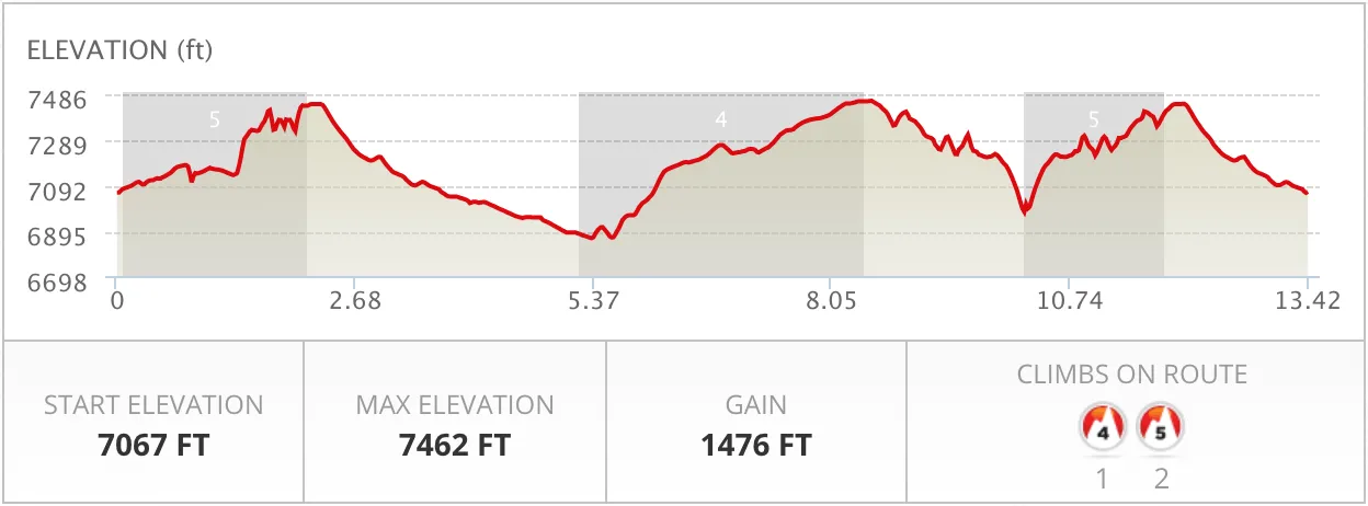 2019 GC-H Elevation 2019 GC H Elevation
