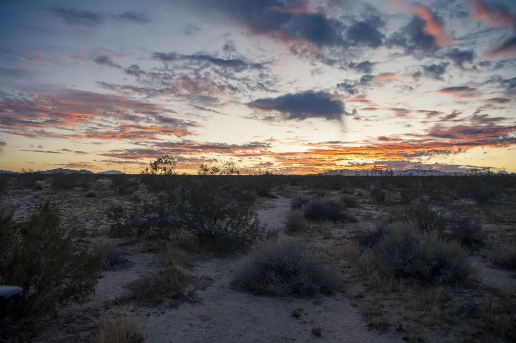 Joshua Tree__D3S7821 sunrise at joshua tree