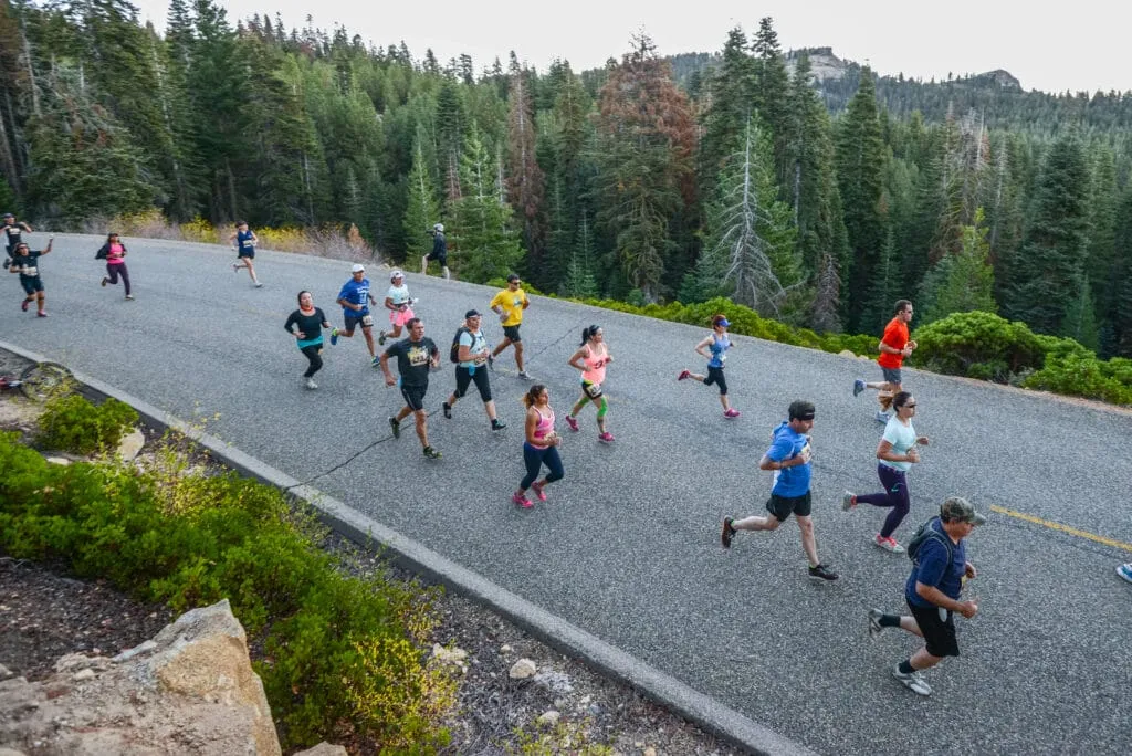 Aerial shot of runners on a paved road surrounded by pine trees