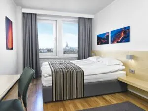 Iceland Raykjavik Natura