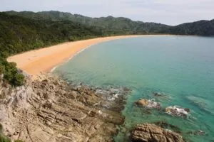 A clam bay with golden sands and dense green treeline