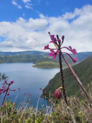 Ecuador scout Ibarra 1
