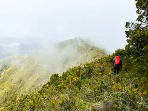 Ecuador scout san clemente 5